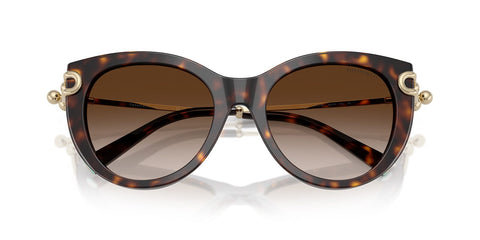 Tiffany & Co TF4232 8015/3B Sunglasses