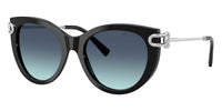 Tiffany & Co TF4232 8342/9S Sunglasses