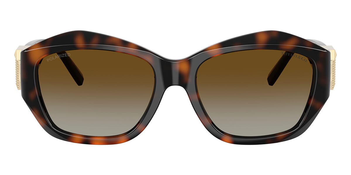 Tiffany & Co TF4233U 8015/T5 Polarised Sunglasses