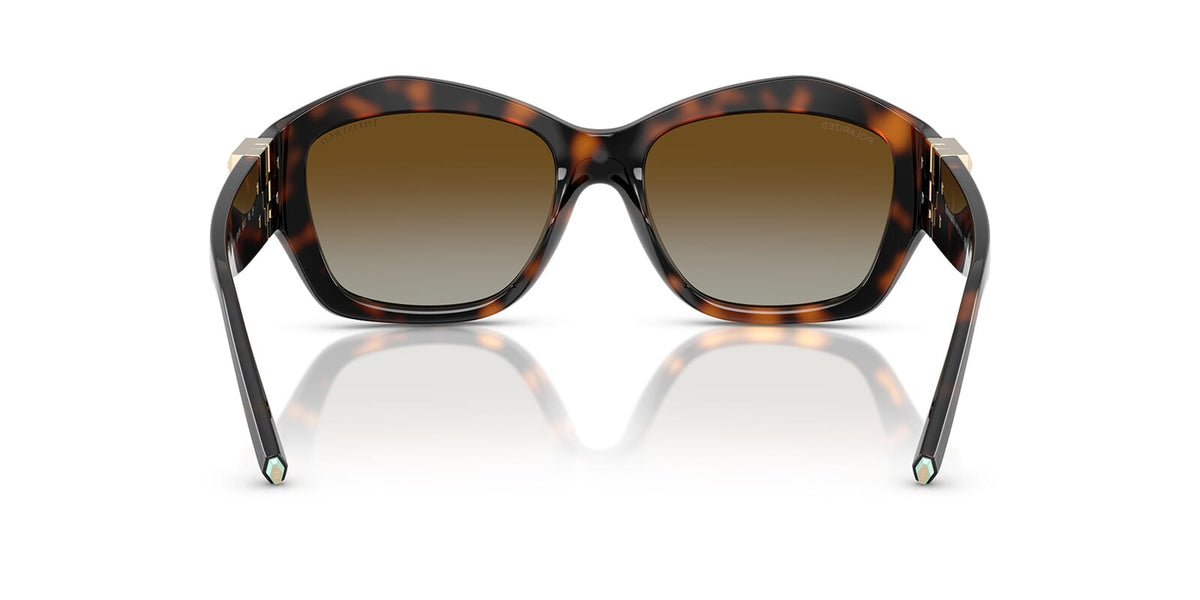 Tiffany & Co TF4233U 8015/T5 Polarised Sunglasses