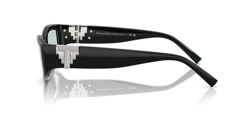 Tiffany & Co TF4234U 8001/D9 Sunglasses