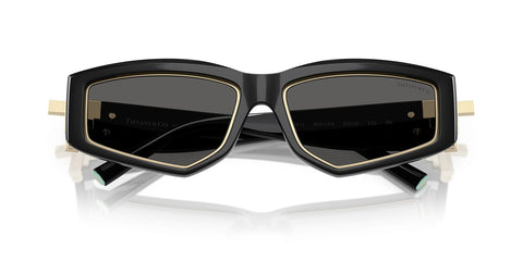 Tiffany & Co TF4234U 8001/S4 Sunglasses