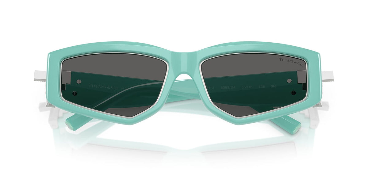 Tiffany & Co TF4234U 8388/S4 Sunglasses