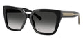 Tiffany & Co TF4235 8001/3C Sunglasses