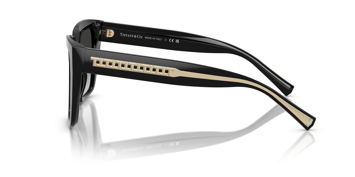 Tiffany & Co TF4235 8001/3C Sunglasses