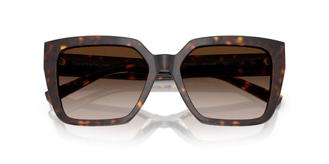 Tiffany & Co TF4235 8015/3B Sunglasses