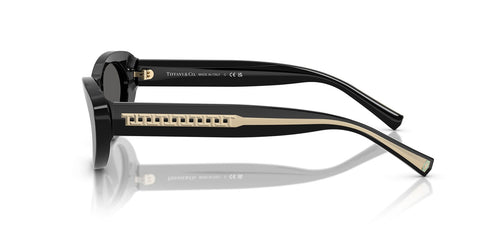 Tiffany & Co TF4236U 8001/S4 Sunglasses