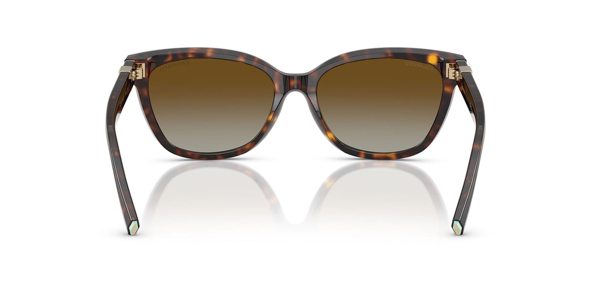 Tiffany & Co TF4237B 8015/T5 Polarised Sunglasses