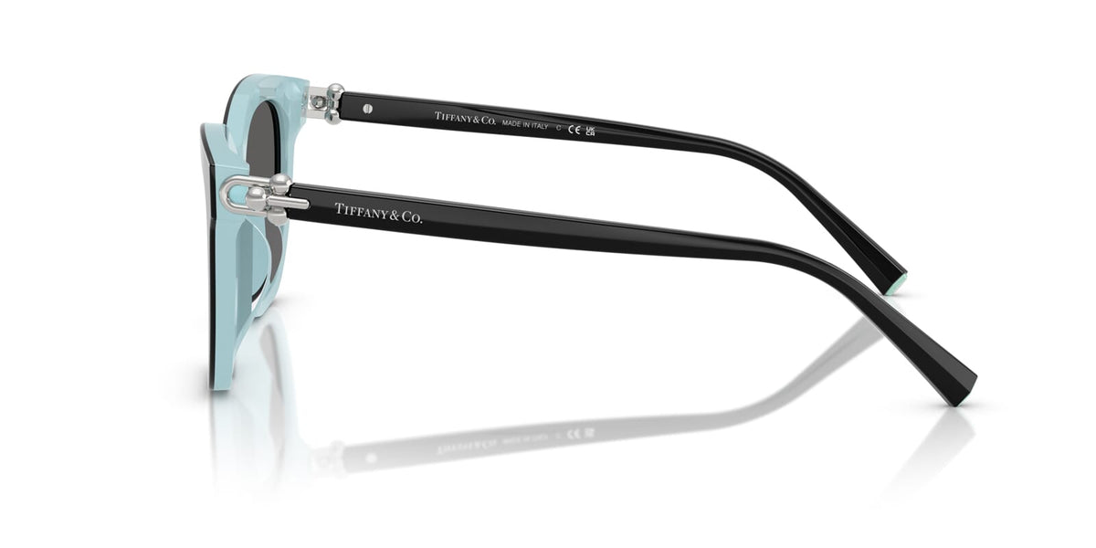 Tiffany & Co TF4241D 8055/S4 Sunglasses