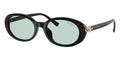 Tiffany & Co TF4242D 8001/D9 Sunglasses