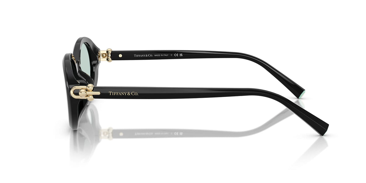 Tiffany & Co TF4242D 8001/D9 Sunglasses