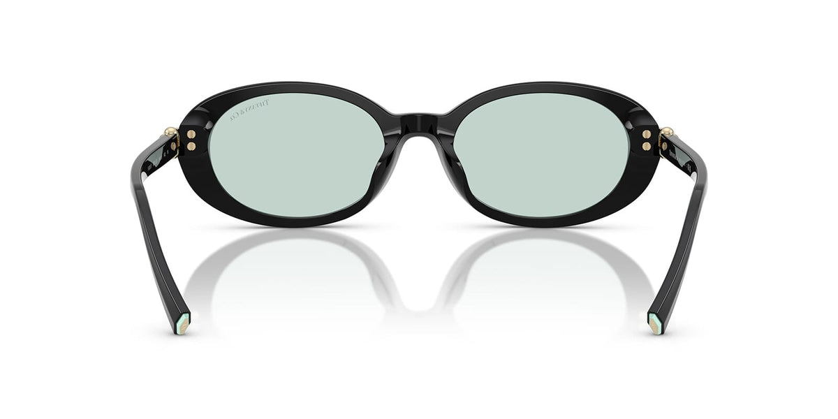 Tiffany & Co TF4242D 8001/D9 Sunglasses