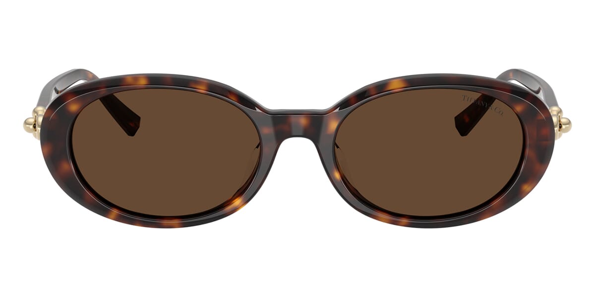 Tiffany & Co TF4242D 8015/3G Sunglasses
