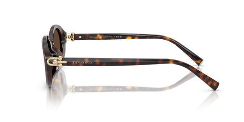 Tiffany & Co TF4242D 8015/3G Sunglasses