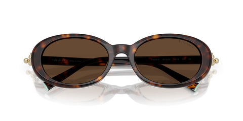 Tiffany & Co TF4242D 8015/3G Sunglasses