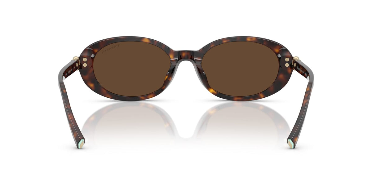 Tiffany & Co TF4242D 8015/3G Sunglasses