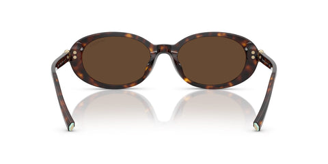 Tiffany & Co TF4242D 8015/3G Sunglasses