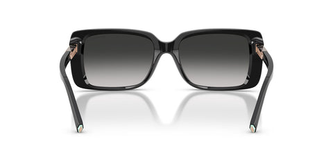 Tiffany & Co TF4249 8001/3C Sunglasses