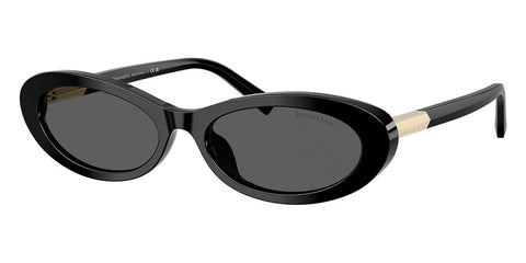 Tiffany & Co TF4250 8001/S4 Sunglasses