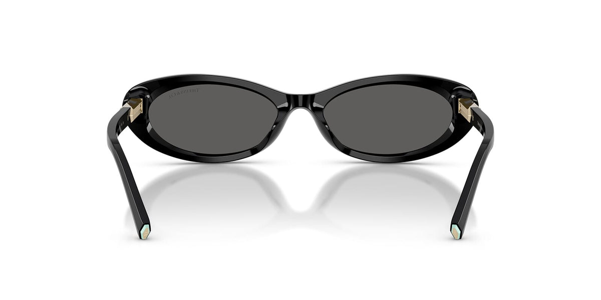 Tiffany & Co TF4250 8001/S4 Sunglasses