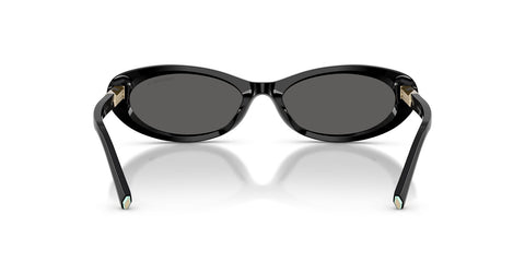 Tiffany & Co TF4250 8001/S4 Sunglasses