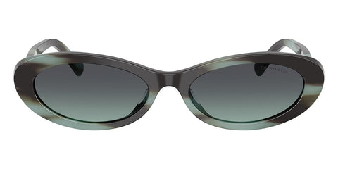 Tiffany & Co TF4250 8443/2G Sunglasses