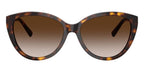 Tiffany & Co TF4251 8015/3B Sunglasses