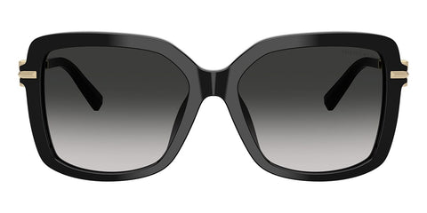 Tiffany & Co TF4252B 8001/3C Sunglasses
