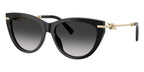 Tiffany & Co TF4253 8001/3C Sunglasses