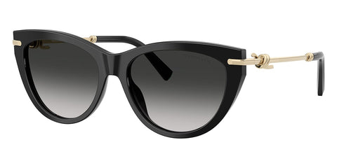 Tiffany & Co TF4253 8001/3C Sunglasses