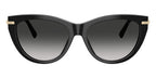 Tiffany & Co TF4253 8001/3C Sunglasses