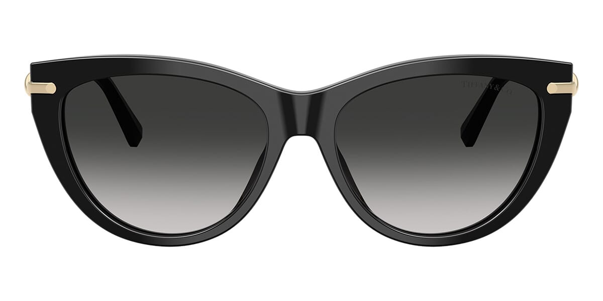 Tiffany & Co TF4253 8001/3C Sunglasses