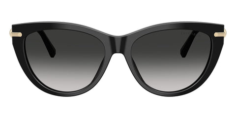 Tiffany & Co TF4253 8001/3C Sunglasses