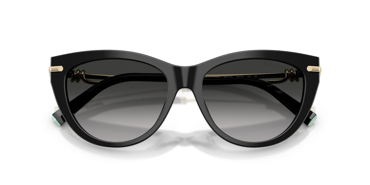 Tiffany & Co TF4253 8001/3C Sunglasses