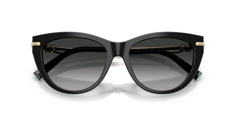 Tiffany & Co TF4253 8001/3C Sunglasses