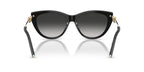 Tiffany & Co TF4253 8001/3C Sunglasses