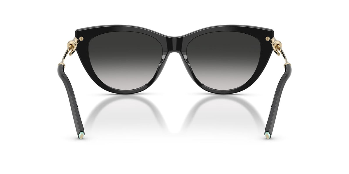 Tiffany & Co TF4253 8001/3C Sunglasses