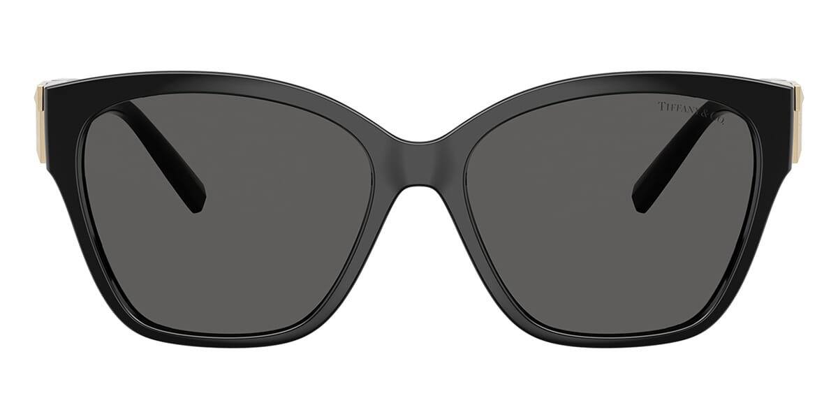 Tiffany & Co TF4254U 8001/S4 Sunglasses