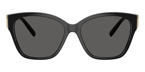 Tiffany & Co TF4254U 8001/S4 Sunglasses