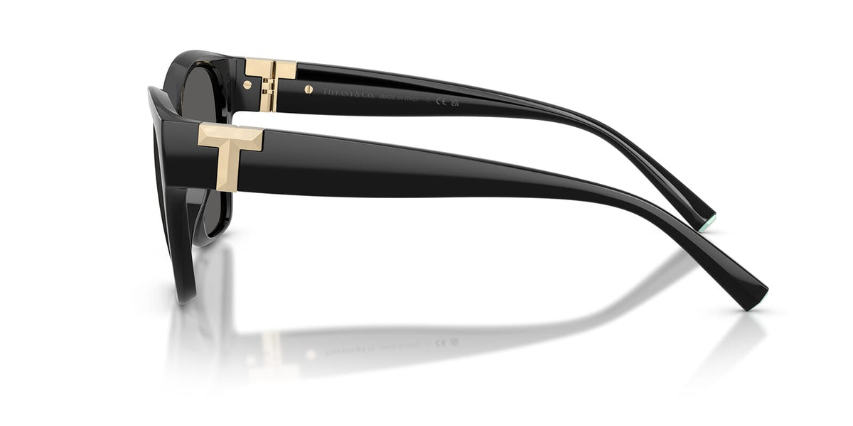 Tiffany & Co TF4254U 8001/S4 Sunglasses