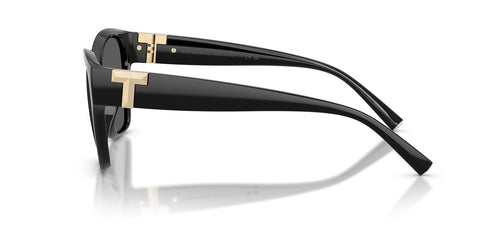 Tiffany & Co TF4254U 8001/S4 Sunglasses