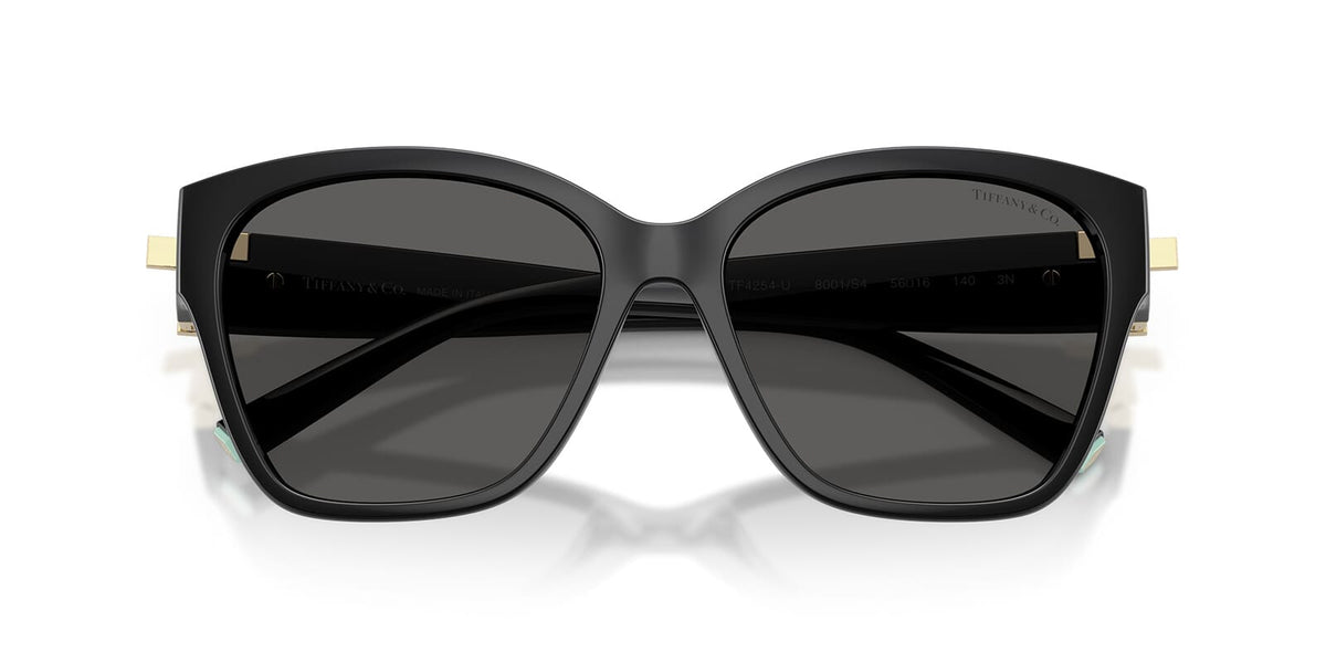 Tiffany & Co TF4254U 8001/S4 Sunglasses