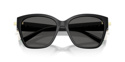 Tiffany & Co TF4254U 8001/S4 Sunglasses
