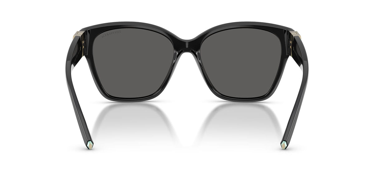 Tiffany & Co TF4254U 8001/S4 Sunglasses