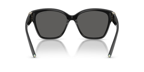 Tiffany & Co TF4254U 8001/S4 Sunglasses