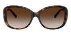 Tiffany & Co TF4257U 8015/3B Sunglasses