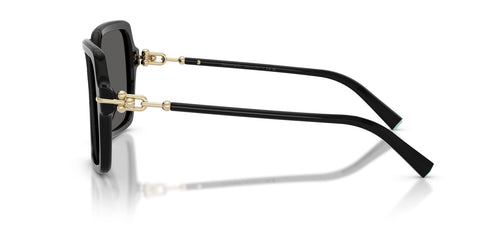 Tiffany & Co TF4260U 8001/S4 Sunglasses