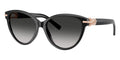 Tiffany & Co TF4261 8001/3C Sunglasses