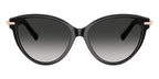 Tiffany & Co TF4261 8001/3C Sunglasses