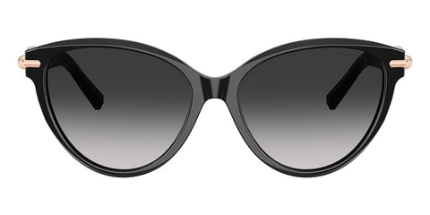 Tiffany & Co TF4261 8001/3C Sunglasses